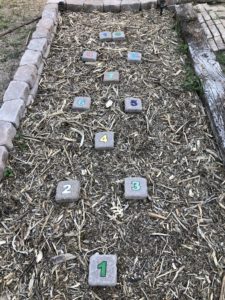 DIY Summer Fun Ideas