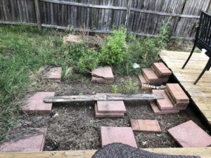 Summer Backyard Flower Box