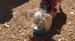 Boerne Texas Road Trip