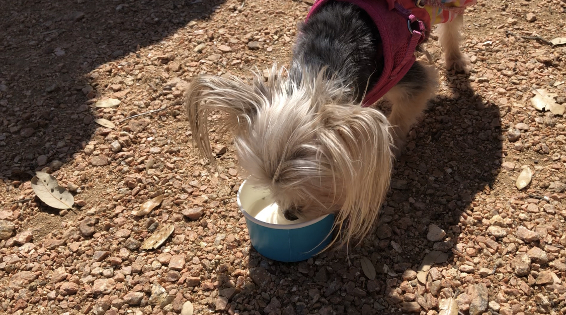 Boerne Texas Road Trip Creative Lifestyles