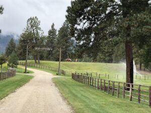 Yellowstone TV Show Party Ideas