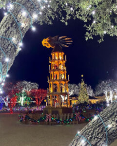 25 Festive San Antonio Christmas Ideas