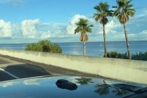 My Tampa Florida Road Trip