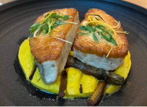 My Tampa Florida Road Trip