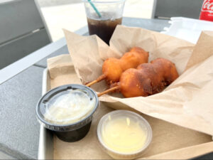 Tampa Florida Road Trip Tips